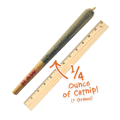 Supernatural size catnip joint displayed with a ruler for scale.