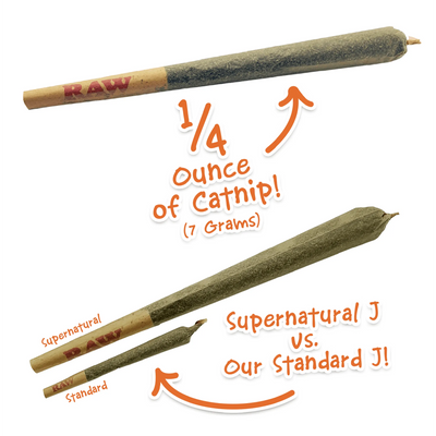 Catnip joint compared in size to a ruler, marked as 1/4 ounce.