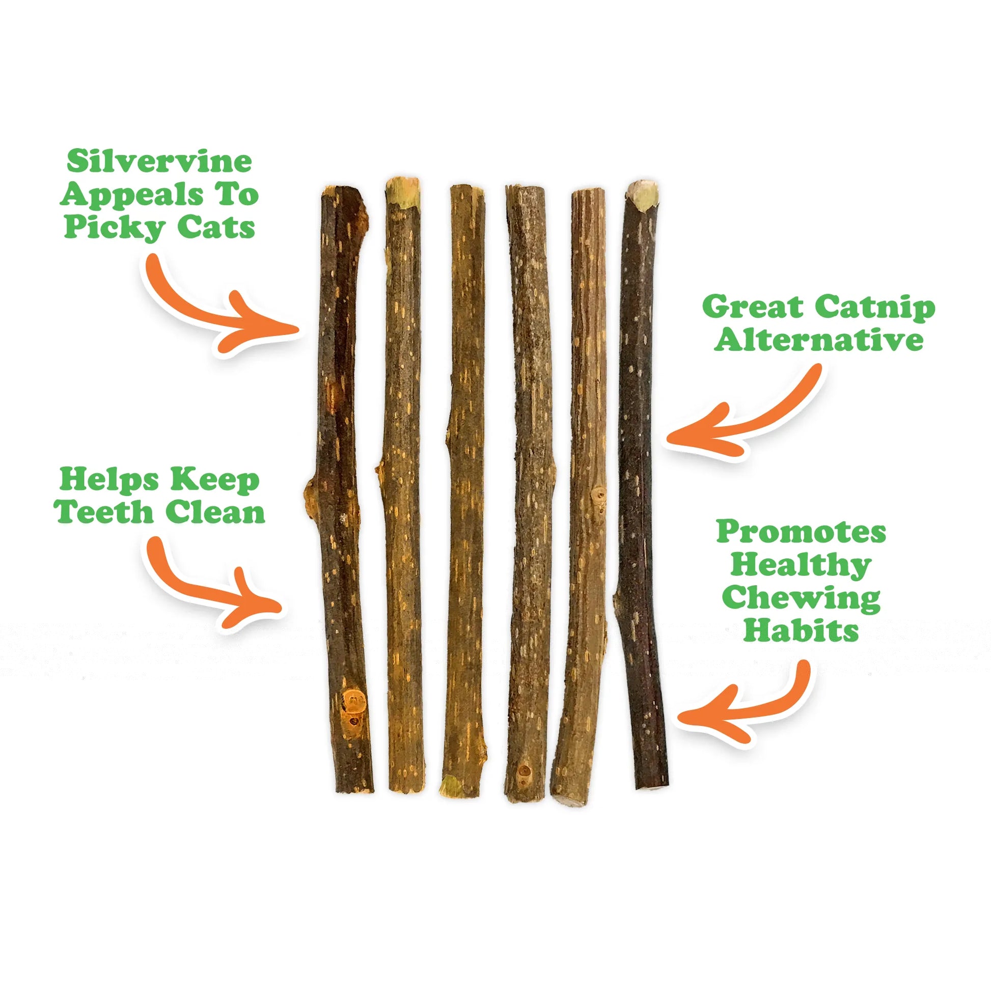 Close-up of Silvervine Sticks detailing benefits like appealing to picky cats and promoting healthy chewing habits.