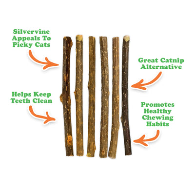 Close-up of Silvervine Sticks detailing benefits like appealing to picky cats and promoting healthy chewing habits.