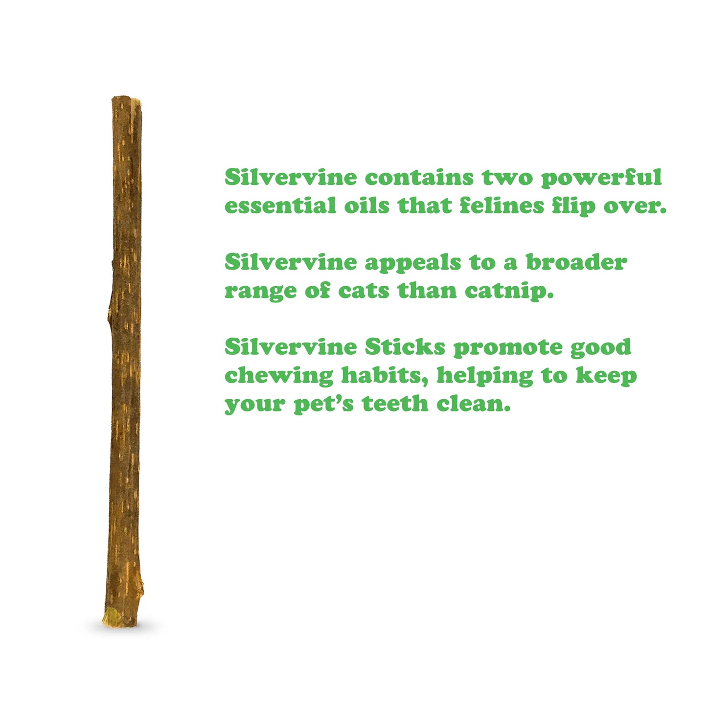 Detailed description of Silvervine benefits, highlighting its essential oils and teeth-cleaning properties.