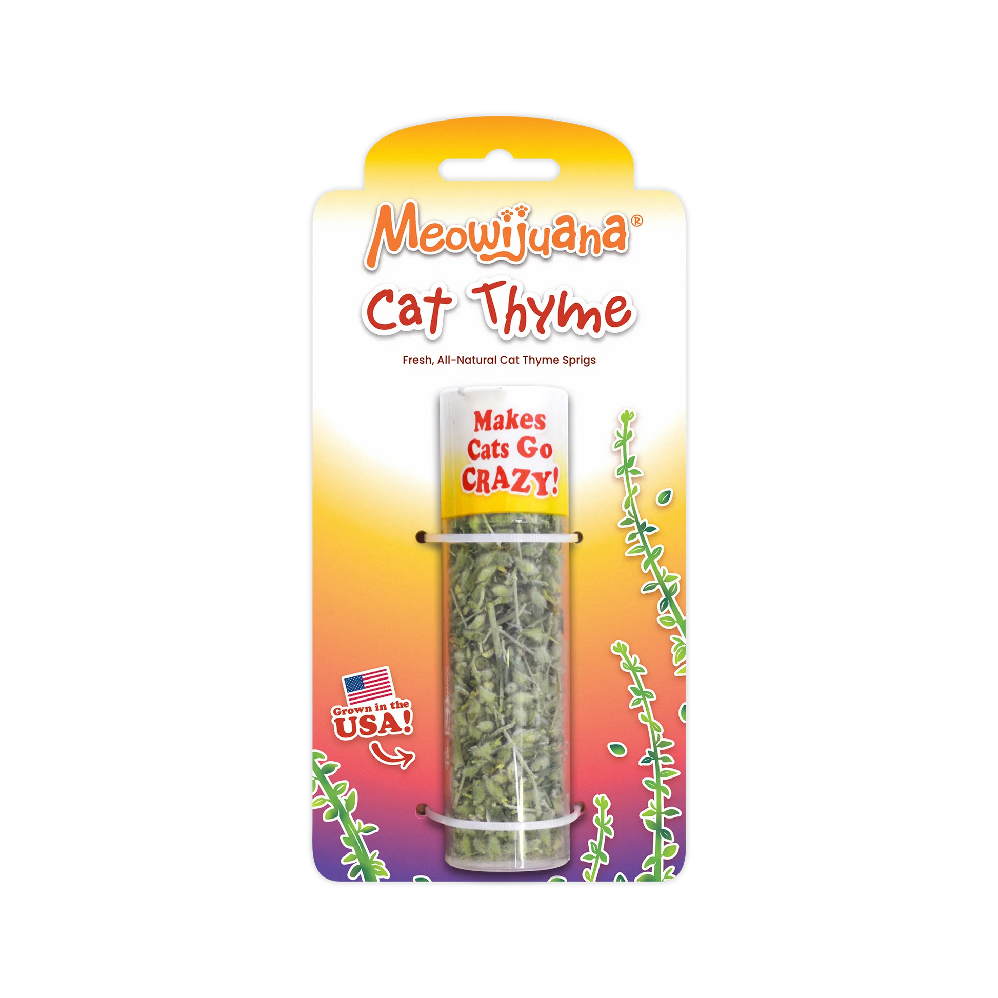 Packaged cat thyme sprigs in a container with label.