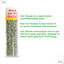 Detailed benefits of cat thyme listed on a container label.